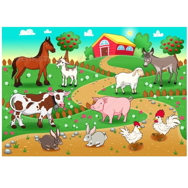 Domestic Animals in Farm